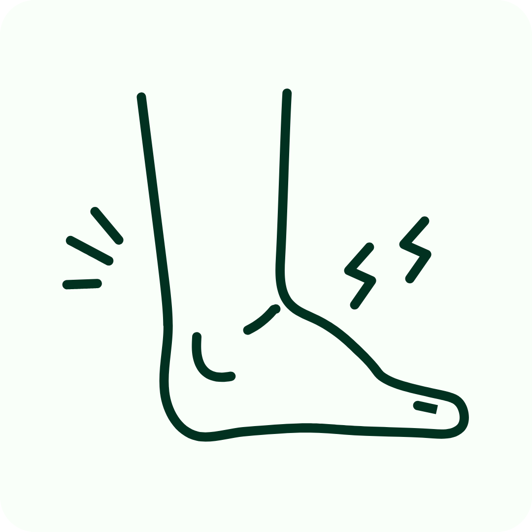 Bloedcirculatie & Zwelling